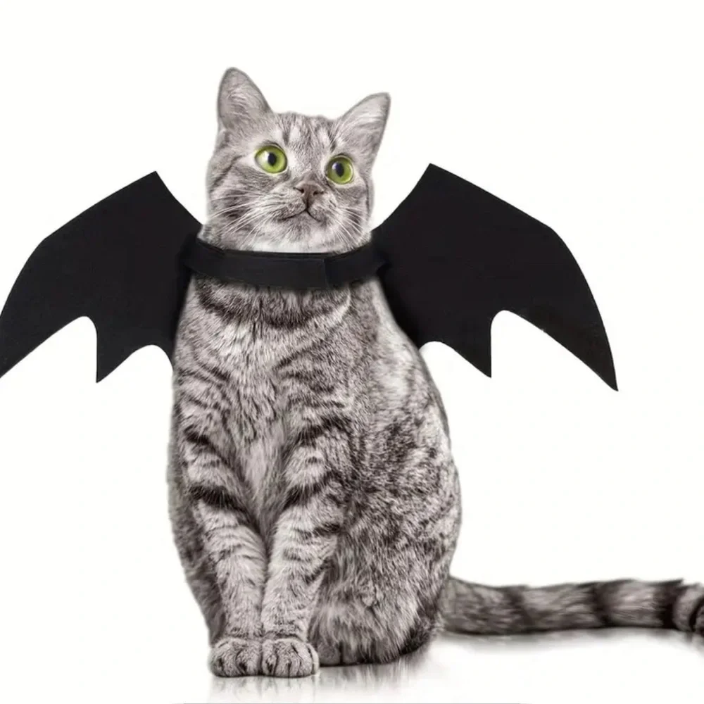 Black Bat Wings Costume for Cats
